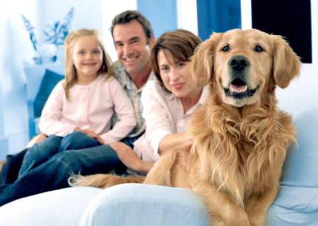 Das traditionelle Familienbild: Vater, Mutter, Kind, Hund ...