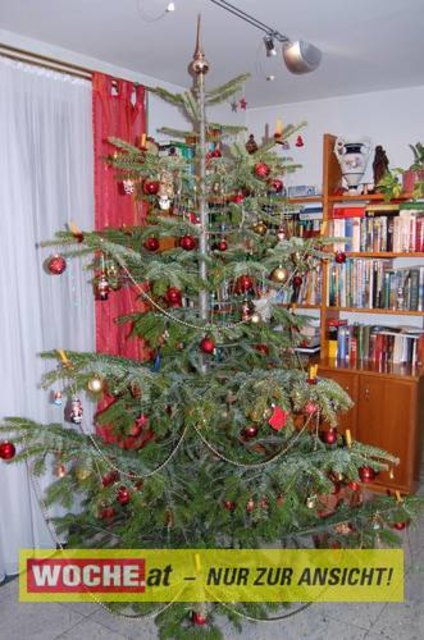 Zum 50-er wurde die Präsidentin von ART 13, von Künstlern und Nachbarn lautstark geweckt!