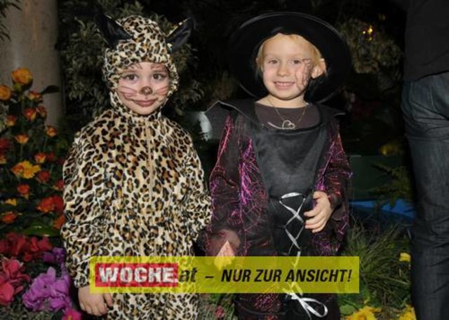 Viele kleine und große Narren tummelten sich bei Musik und Zauberei im Konzerthaus