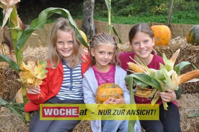 Anlässlich vom Herbst Aktivtag am Faakersee, gab es den letzten WOCHE-Wandertag der Saison. Gewandert wurde ab der Burgruine Finkenstein. Hunderte Teilnehmer nahmen daran teil!