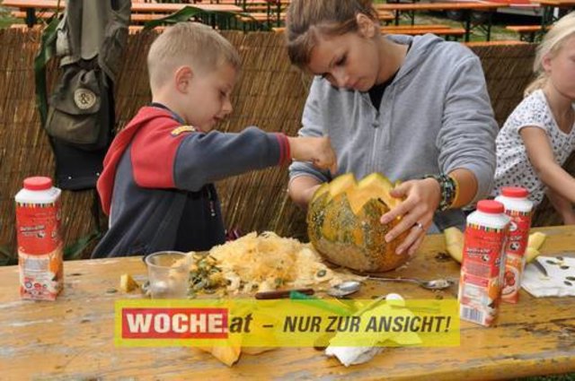 Anlässlich vom Herbst Aktivtag am Faakersee, gab es den letzten WOCHE-Wandertag der Saison. Gewandert wurde ab der Burgruine Finkenstein. Hunderte Teilnehmer nahmen daran teil!