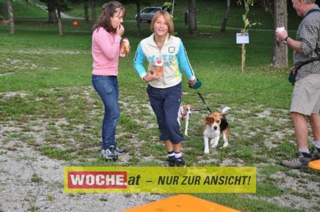 Anlässlich vom Herbst Aktivtag am Faakersee, gab es den letzten WOCHE-Wandertag der Saison. Gewandert wurde ab der Burgruine Finkenstein. Hunderte Teilnehmer nahmen daran teil!