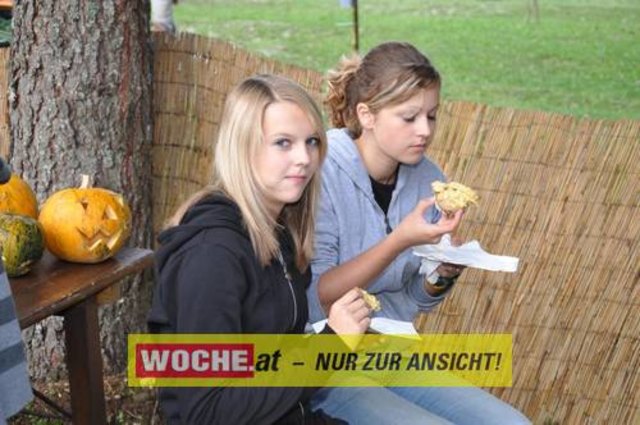Anlässlich vom Herbst Aktivtag am Faakersee, gab es den letzten WOCHE-Wandertag der Saison. Gewandert wurde ab der Burgruine Finkenstein. Hunderte Teilnehmer nahmen daran teil!