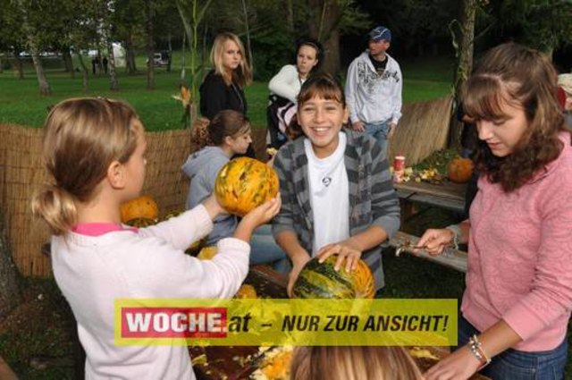 Anlässlich vom Herbst Aktivtag am Faakersee, gab es den letzten WOCHE-Wandertag der Saison. Gewandert wurde ab der Burgruine Finkenstein. Hunderte Teilnehmer nahmen daran teil!
