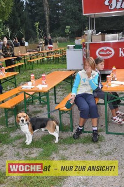 Anlässlich vom Herbst Aktivtag am Faakersee, gab es den letzten WOCHE-Wandertag der Saison. Gewandert wurde ab der Burgruine Finkenstein. Hunderte Teilnehmer nahmen daran teil!