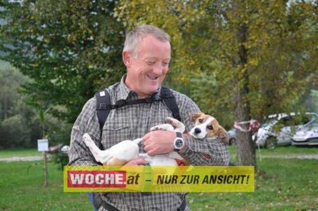 Anlässlich vom Herbst Aktivtag am Faakersee, gab es den letzten WOCHE-Wandertag der Saison. Gewandert wurde ab der Burgruine Finkenstein. Hunderte Teilnehmer nahmen daran teil!