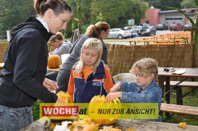 Anlässlich vom Herbst Aktivtag am Faakersee, gab es den letzten WOCHE-Wandertag der Saison. Gewandert wurde ab der Burgruine Finkenstein. Hunderte Teilnehmer nahmen daran teil!
