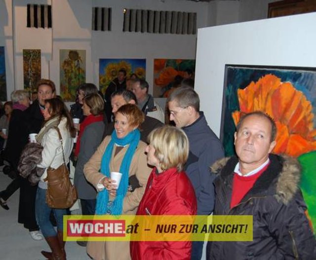 Live-Konzert mit KARPF & POLAINER für "Licht ins Dunkel" im SCHAUSTALL von Harald Scheicher in Völkermarkt.
