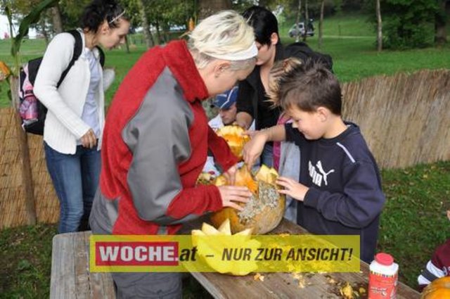 Anlässlich vom Herbst Aktivtag am Faakersee, gab es den letzten WOCHE-Wandertag der Saison. Gewandert wurde ab der Burgruine Finkenstein. Hunderte Teilnehmer nahmen daran teil!