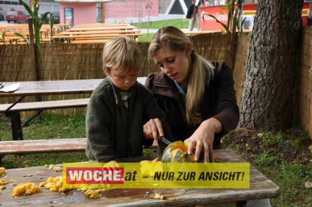 Anlässlich vom Herbst Aktivtag am Faakersee, gab es den letzten WOCHE-Wandertag der Saison. Gewandert wurde ab der Burgruine Finkenstein. Hunderte Teilnehmer nahmen daran teil!