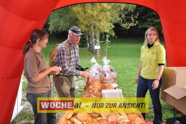 Anlässlich vom Herbst Aktivtag am Faakersee, gab es den letzten WOCHE-Wandertag der Saison. Gewandert wurde ab der Burgruine Finkenstein. Hunderte Teilnehmer nahmen daran teil!