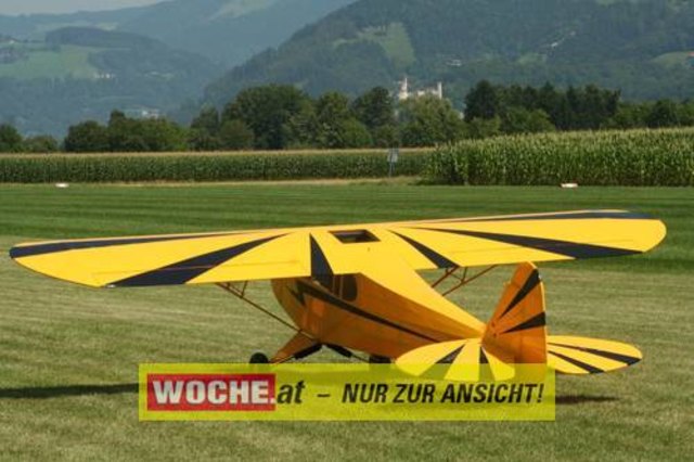 Die WOCHE besuchte die Modellflugshow 2009 in St. Marein.