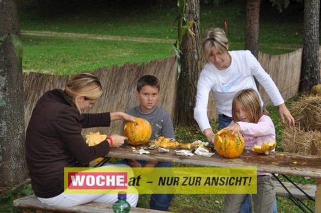Anlässlich vom Herbst Aktivtag am Faakersee, gab es den letzten WOCHE-Wandertag der Saison. Gewandert wurde ab der Burgruine Finkenstein. Hunderte Teilnehmer nahmen daran teil!