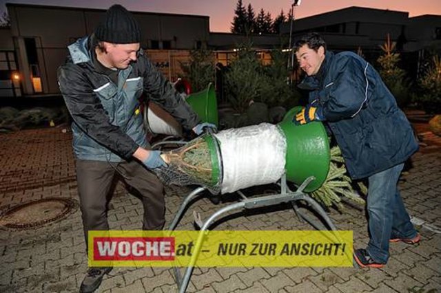 Die Telekom veranstaltete für ihre Business Kunden einen Weihnacht-Wunderwald in der Kärntner Zentrale der Telekom, wo diese bei Puntsch, Verhackertenbrote und Maroni einen Christbaum aussuchen durften.