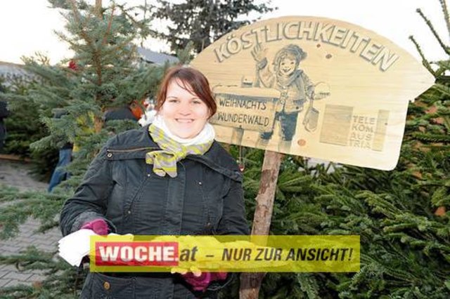 Die Telekom veranstaltete für ihre Business Kunden einen Weihnacht-Wunderwald in der Kärntner Zentrale der Telekom, wo diese bei Puntsch, Verhackertenbrote und Maroni einen Christbaum aussuchen durften.