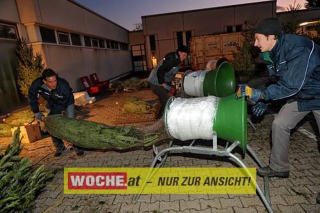 Die Telekom veranstaltete für ihre Business Kunden einen Weihnacht-Wunderwald in der Kärntner Zentrale der Telekom, wo diese bei Puntsch, Verhackertenbrote und Maroni einen Christbaum aussuchen durften.