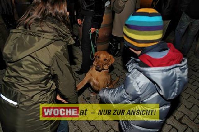 Die Telekom veranstaltete für ihre Business Kunden einen Weihnacht-Wunderwald in der Kärntner Zentrale der Telekom, wo diese bei Puntsch, Verhackertenbrote und Maroni einen Christbaum aussuchen durften.