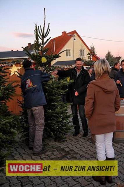 Die Telekom veranstaltete für ihre Business Kunden einen Weihnacht-Wunderwald in der Kärntner Zentrale der Telekom, wo diese bei Puntsch, Verhackertenbrote und Maroni einen Christbaum aussuchen durften.