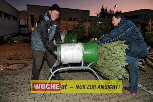 Die Telekom veranstaltete für ihre Business Kunden einen Weihnacht-Wunderwald in der Kärntner Zentrale der Telekom, wo diese bei Puntsch, Verhackertenbrote und Maroni einen Christbaum aussuchen durften.