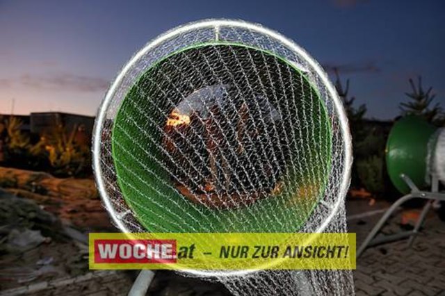 Die Telekom veranstaltete für ihre Business Kunden einen Weihnacht-Wunderwald in der Kärntner Zentrale der Telekom, wo diese bei Puntsch, Verhackertenbrote und Maroni einen Christbaum aussuchen durften.