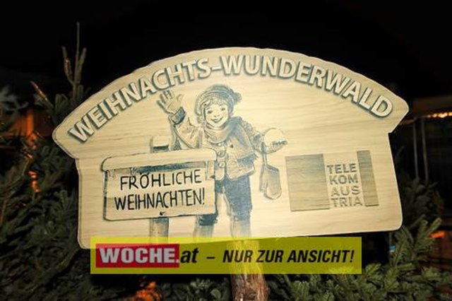 Die Telekom veranstaltete für ihre Business Kunden einen Weihnacht-Wunderwald in der Kärntner Zentrale der Telekom, wo diese bei Puntsch, Verhackertenbrote und Maroni einen Christbaum aussuchen durften.