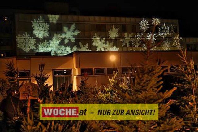Die Telekom veranstaltete für ihre Business Kunden einen Weihnacht-Wunderwald in der Kärntner Zentrale der Telekom, wo diese bei Puntsch, Verhackertenbrote und Maroni einen Christbaum aussuchen durften.