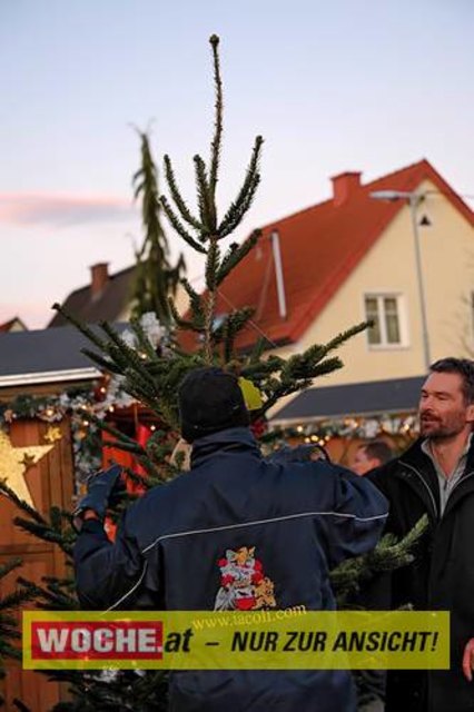 Die Telekom veranstaltete für ihre Business Kunden einen Weihnacht-Wunderwald in der Kärntner Zentrale der Telekom, wo diese bei Puntsch, Verhackertenbrote und Maroni einen Christbaum aussuchen durften.