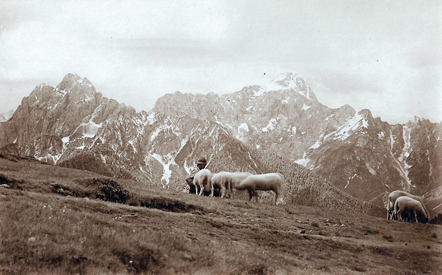 Seltschacheralm, Julische Alpen, Mangart