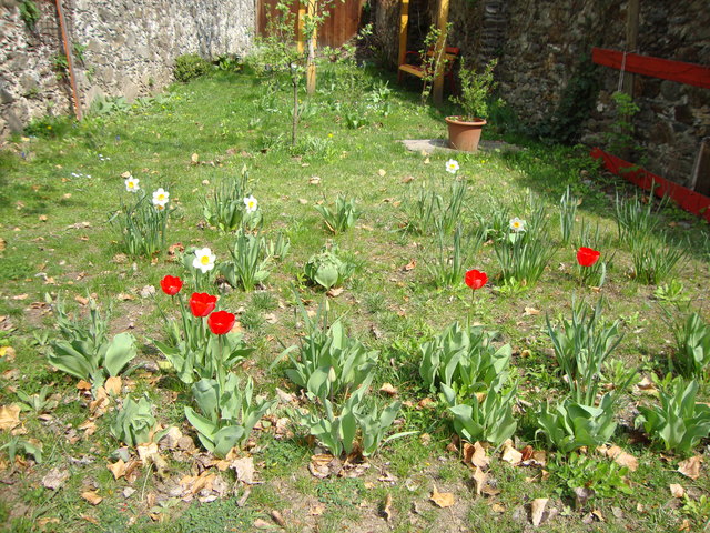 Garten im Frühling