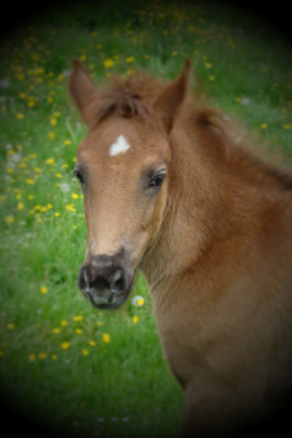 Trixi, sooo hübsch!