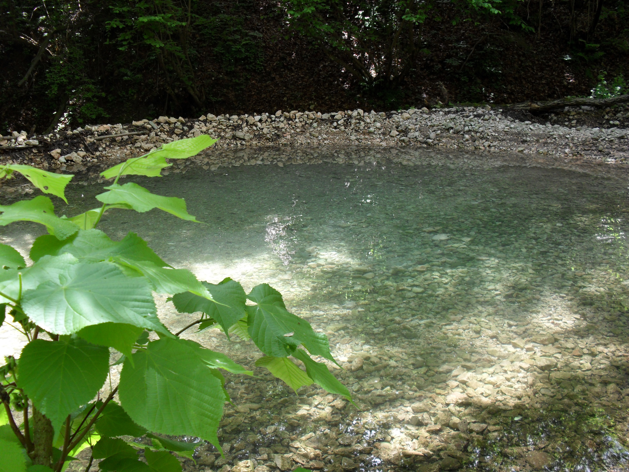 Das Maibachl Villach Land