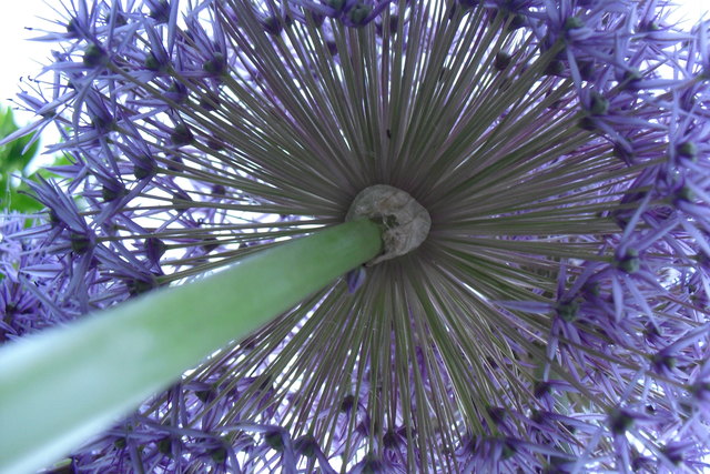 Die berühmte "GÜNI-PERSPEKTIVE"