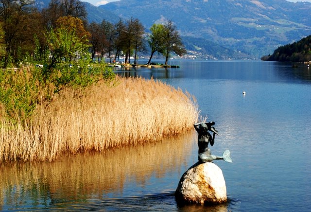 Seebodner Bucht | Foto: pro Natura Kärnten