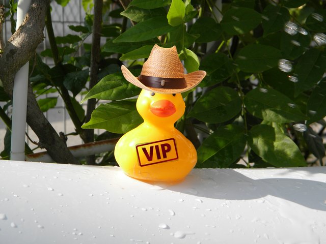 ja wo sind denn die anderen VIP`s