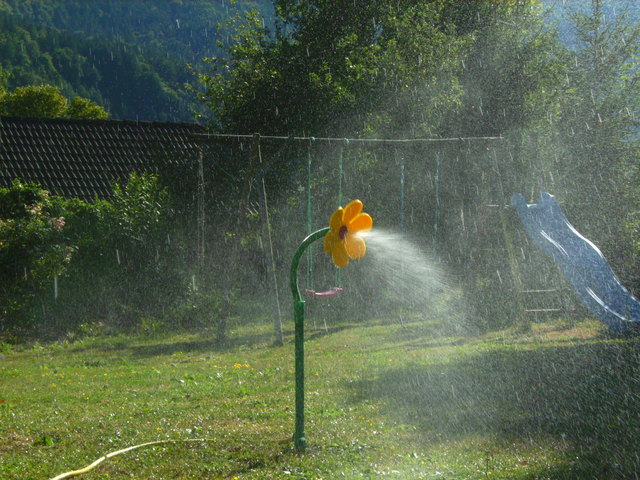 die tanzende Sonnenblume macht richtig Spaß