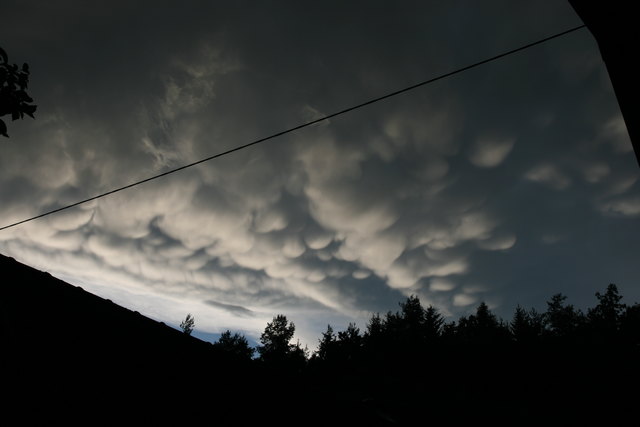 Recht ausgeprägte Mammaten die die Superzelle vom 08.08.2010 im Schlepptau hatte. Bei Gelegenheit werde ich einen kompletten Bericht über diese schreiben. Lg, Roli77     Stormhunters-Austria.com