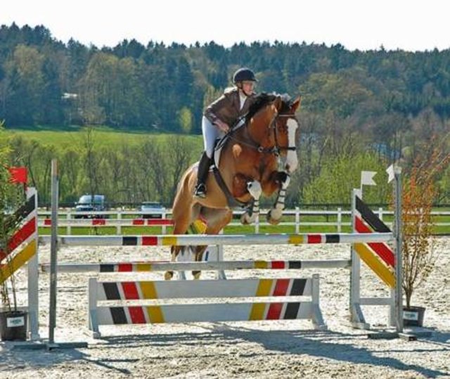 Tolle Leistungen von hochmotivierten Reitern waren beim Springturnier des Pferdesportzentrums Reithof Thermenland in Bad Blumau zu sehen.
