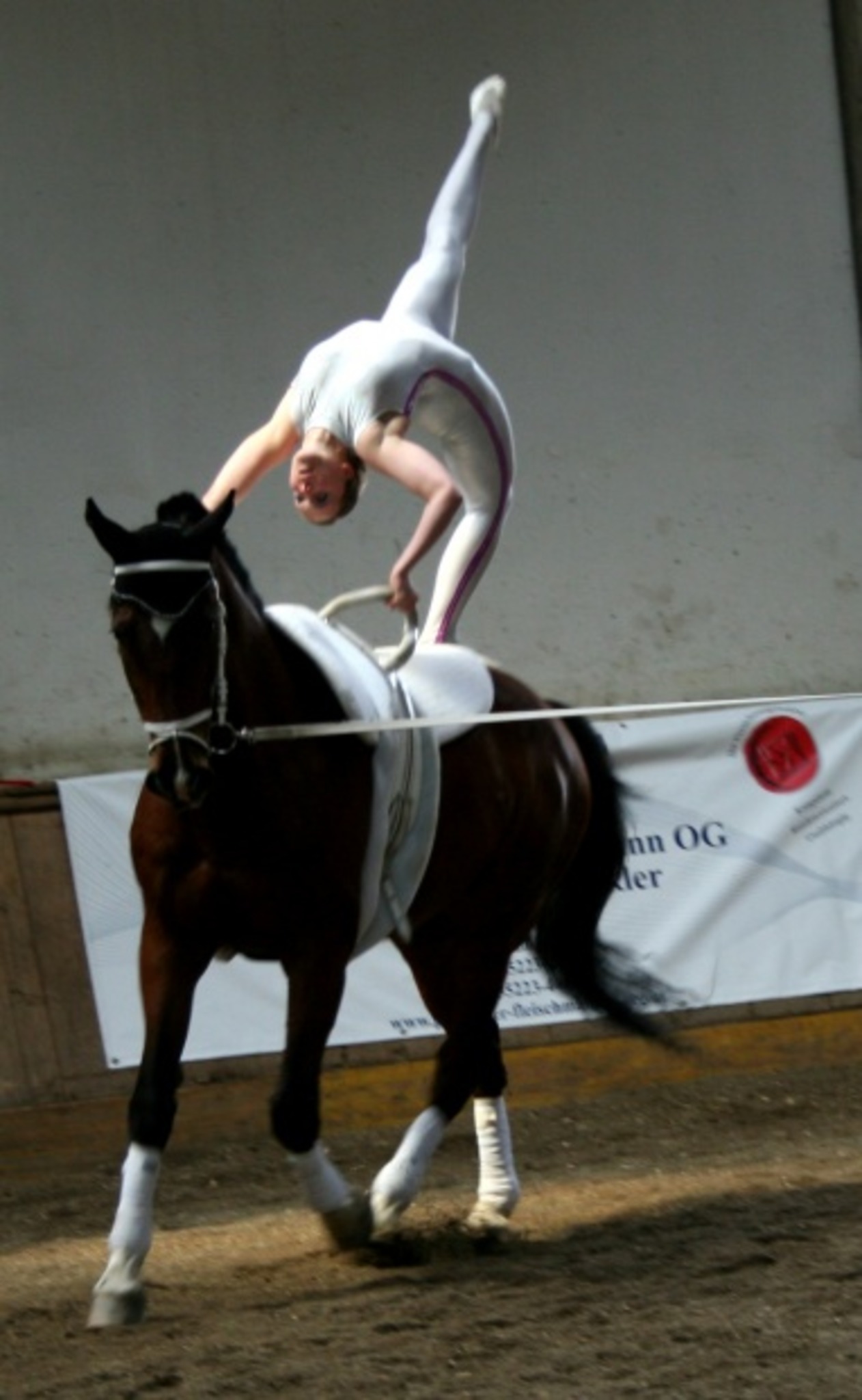 Piller Voltigierer auch beim TirolCup eine Klasse für sich Schwaz