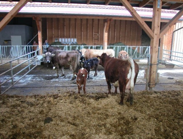 Summerauer_Zams 1 (LA) | Foto: Foto: LK Tirol