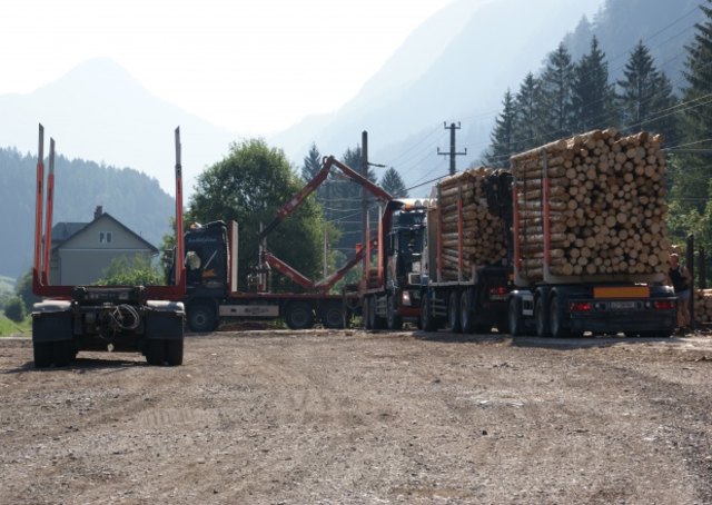 w-holz | Foto: Ebner