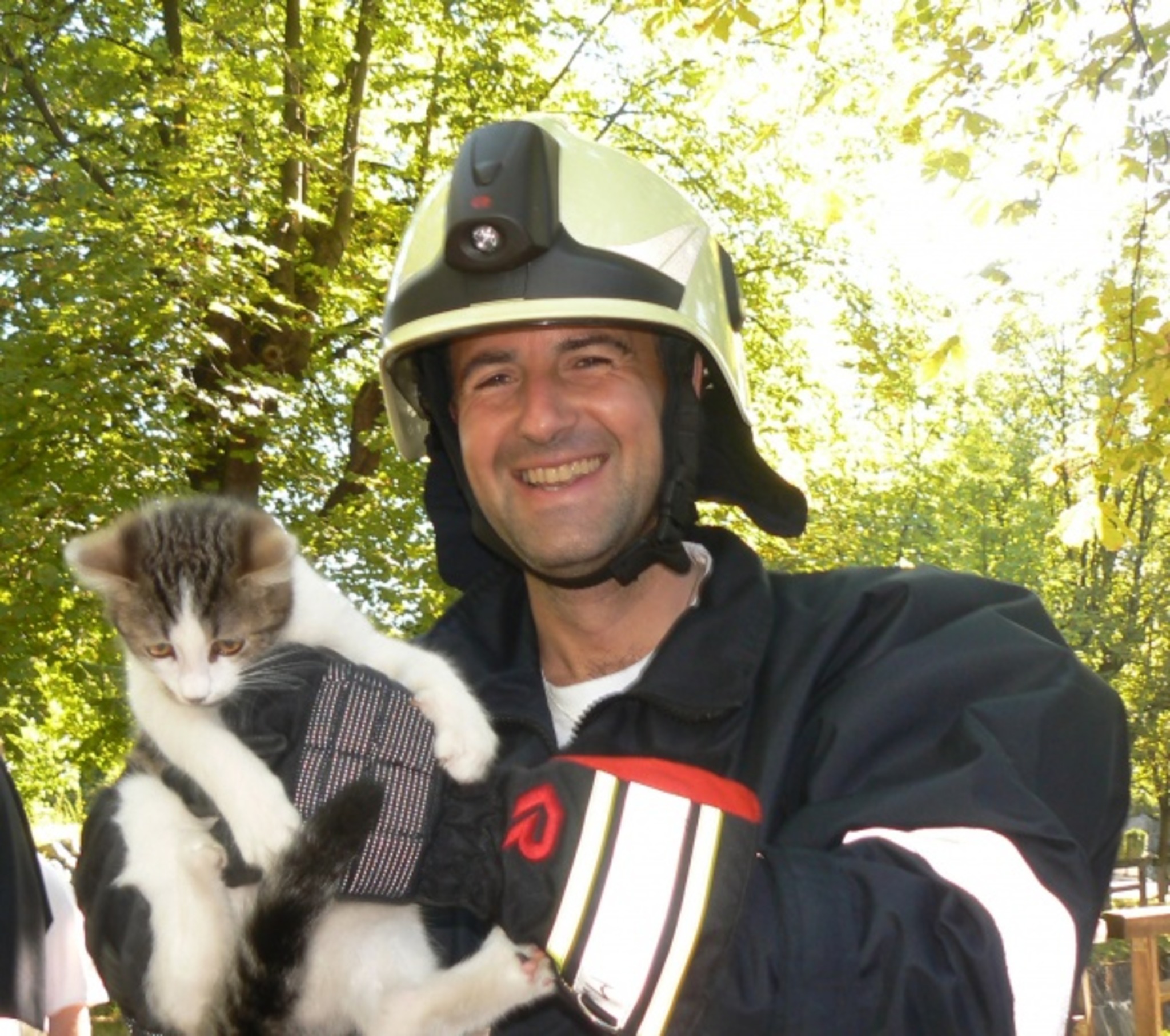 Feuerwehr rettet Katze aus Baum - Schwaz