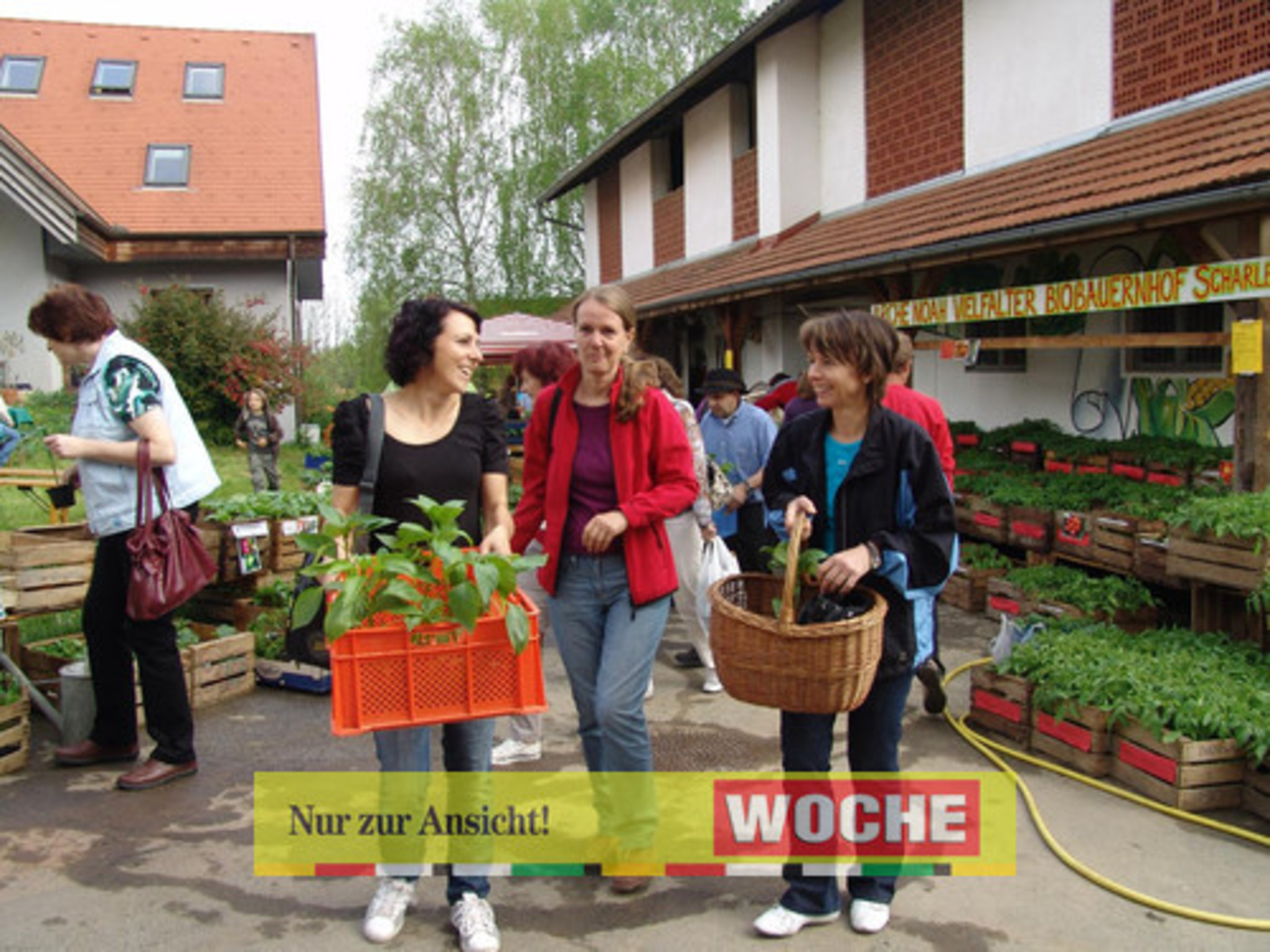 BioPflanzenmarkt Weiz