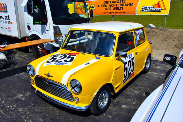 Toller Mini