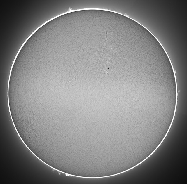 Die Gesamtsonne vom 8.August. Der dunkle Sonnenfleck zeigt Aktivität der Sonne an