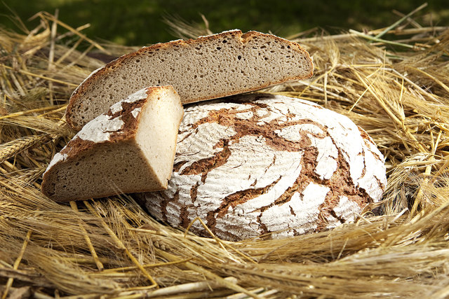 Bauernbrot auf dem Prüfstand. Bild: Schrotter | Foto: Schrotter
