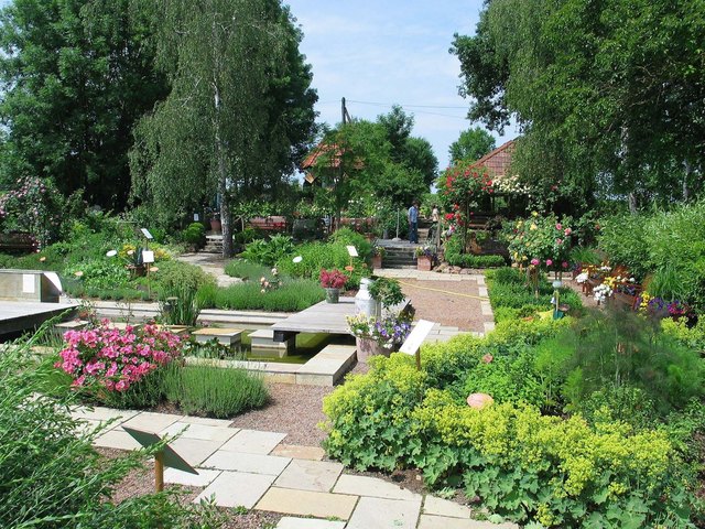 Der örtliche Kräutergarten.