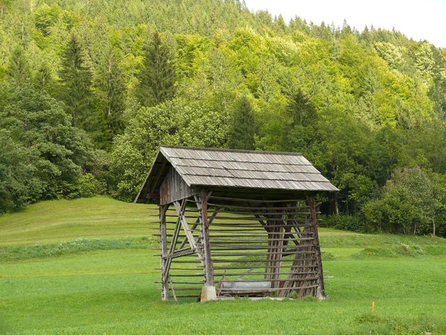 Am häufigsten wurden hausförmige Feldharfpen errichtet, die durch die Verdoppleung der Stangenwand und einem Dach zu scheunenartigen Gebäuden ausgebaut wurden. | Foto: (c) Klaus Krainer