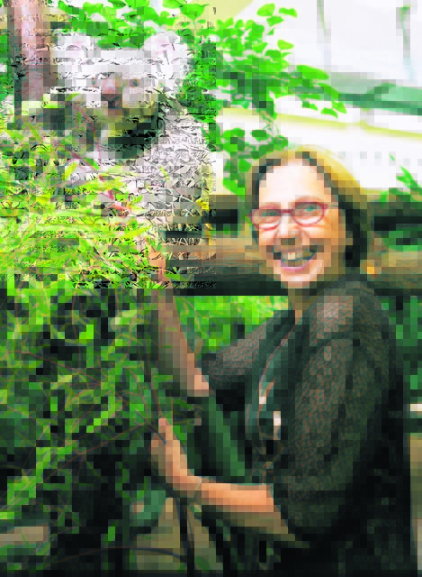 Die Kärntnerin Dagmar Schratter mit einem ihrer tierischen Stars, einem Koala. Im Tiergarten Schönbrunn tummeln sich insgesamt 8.000 Tiere | Foto: Beck, Zupanc