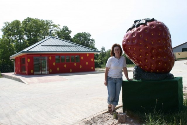 Erdbeeren