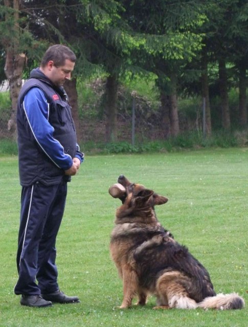 L-Hundeschule-35 | Foto: privat